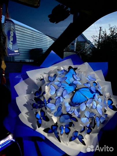 Букеты из бабочек