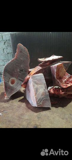 Мясо корм собакам говядина субпродукты обрезь