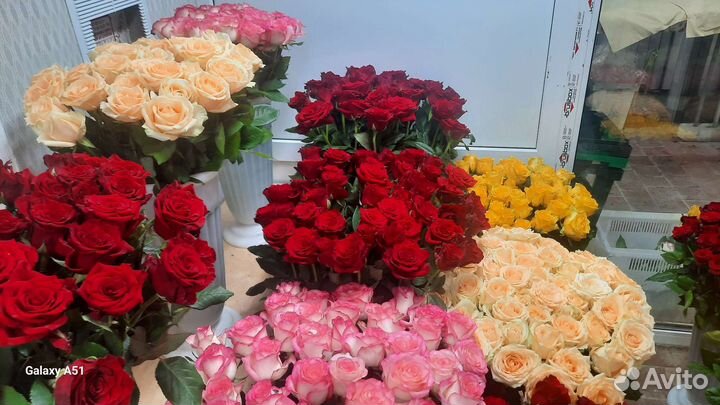 Розы оптом и розницу