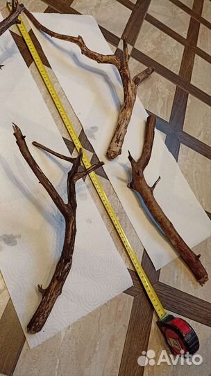 Растения и коряги затонувшие для аквариума