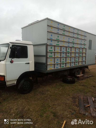 Пчелы, пчелопавильон, пасека