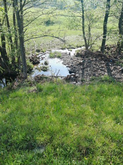 Участок 2 га (СНТ, ДНП)