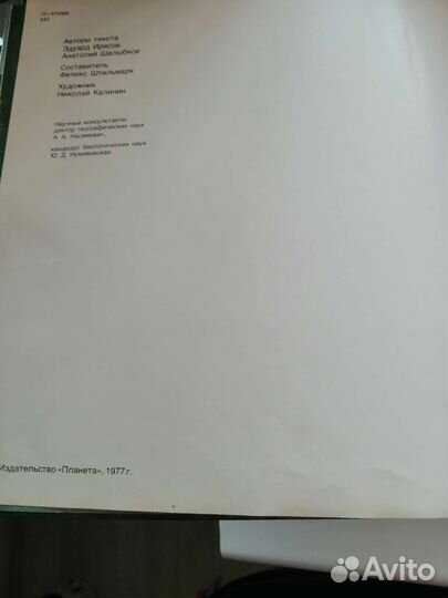 Фотоальбом Алтайский заповедник