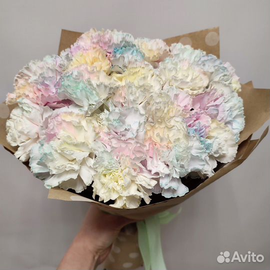 Диантусы радужные 11 шт