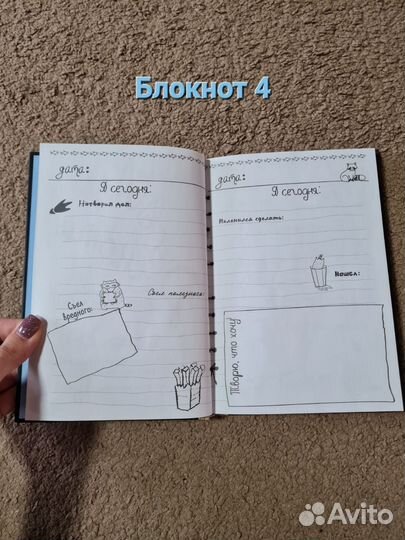 Дневник Енота интроверта