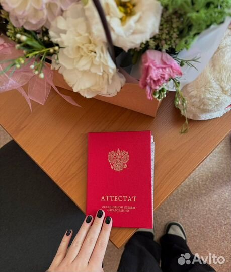 Репетитор по истории ОГЭ