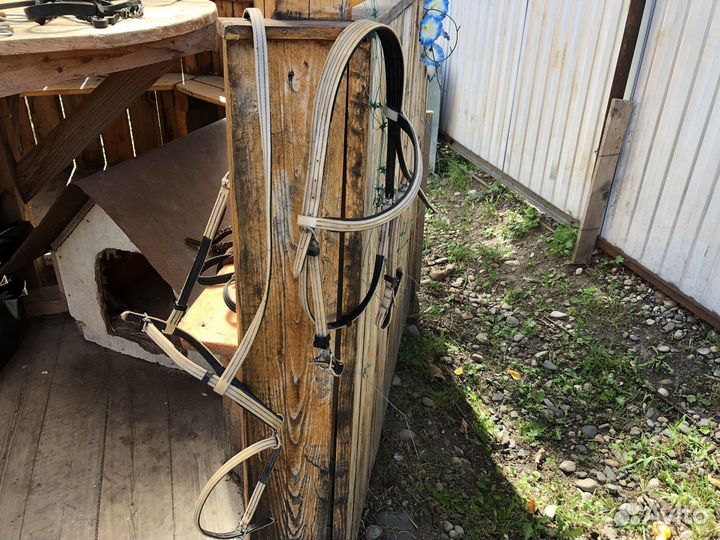 Амуниция для лошади