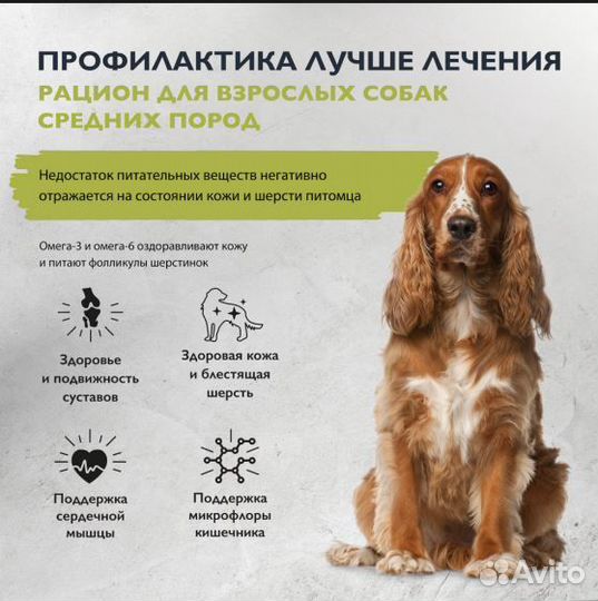 Brit Care Superp. 3кг д/взр.собак, красивая шерсть