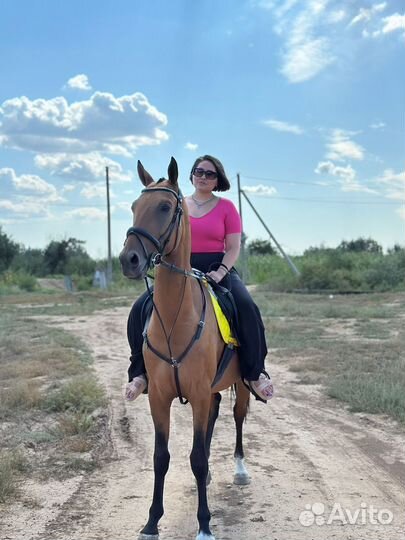 Конные прогулки обучение верховая езда