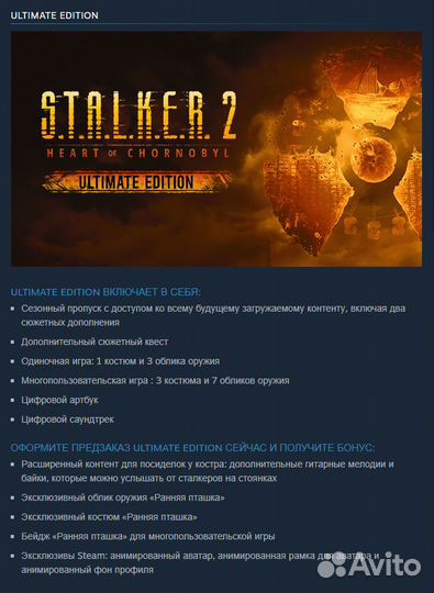 S.T.A.L.K.E.R. 2: Heart of Chornobyl (Steam)