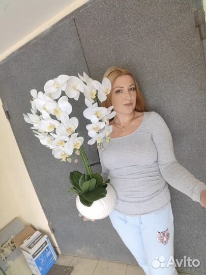 Растения, озеленение в кашпо, вазах, от