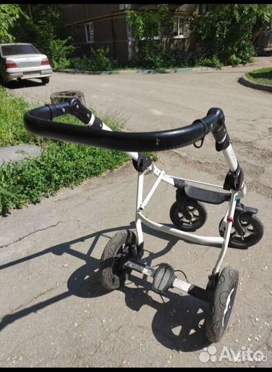 Коляска Expander Mondo Ecco (2 в 1)