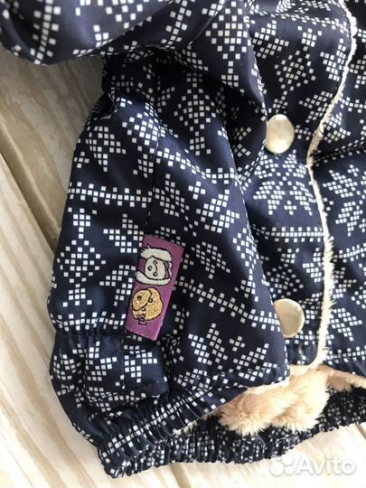 Костюм для собаки