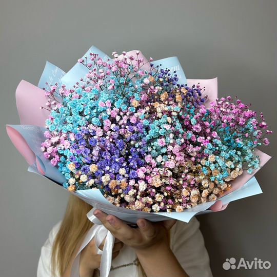 Гипсофила оптом