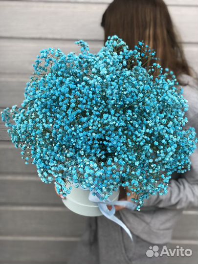 Букет цветов из гипсофил Гигант