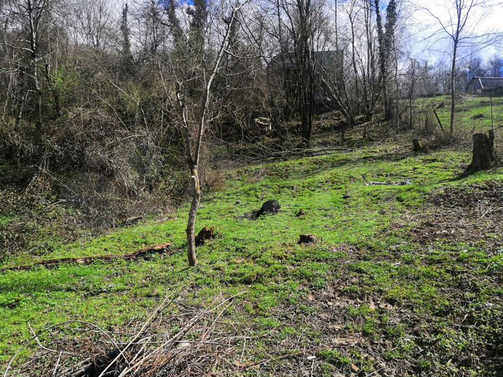 Участок 5,7 сот. (СНТ, ДНП)