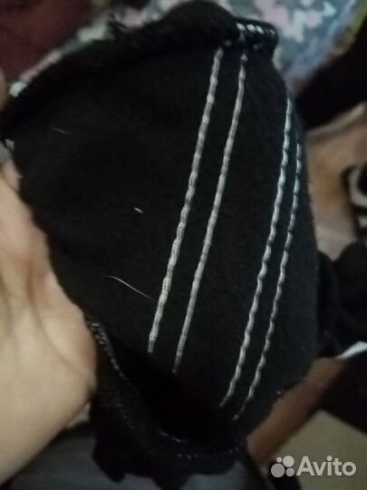 Одежда для собак