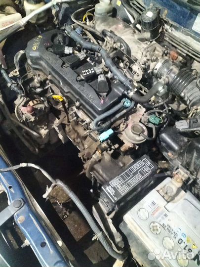 Nissan двигатель qg18de