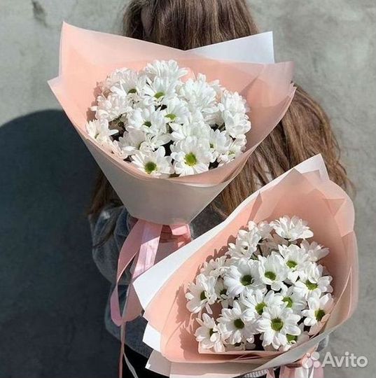 Хризантема