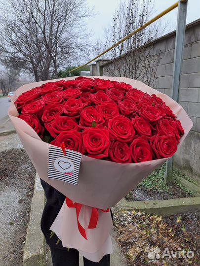 101 красная роза