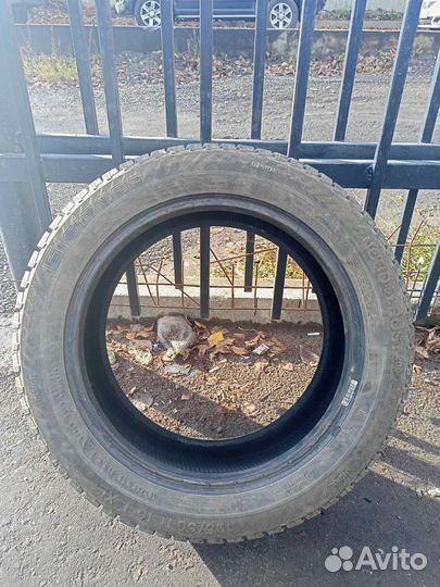 Gislaved Nord Frost 200 195/55 R16 91