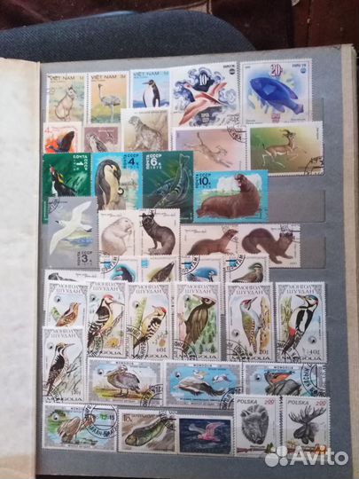 Альбом 1000+ марок