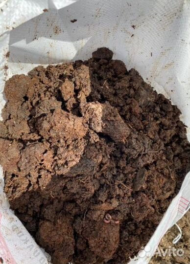 Навоз коровий и перегной в мешках