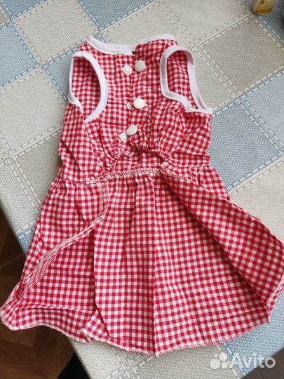 Одежда для собак мелких пород