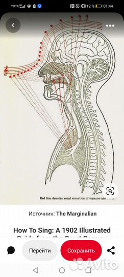 Педагог по академич вокалу и сценической речи