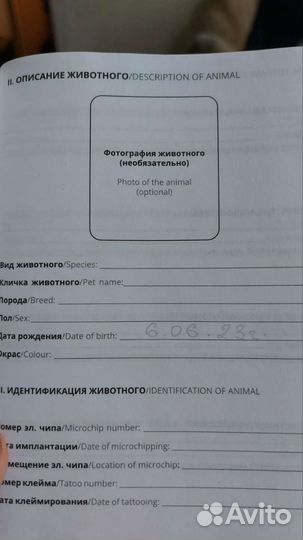 Йоркширский терьер