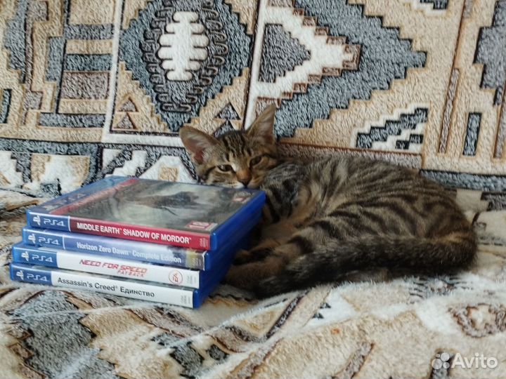 Игры на ps4 б/у/цена в описании