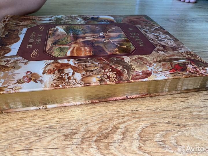 Энциклопедия Альфред Брем 