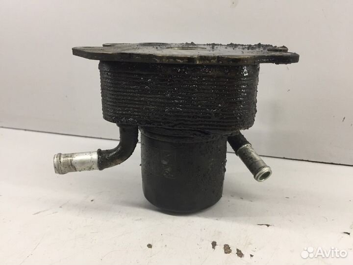 Радиатор масляный двигателя (Infiniti QX56)