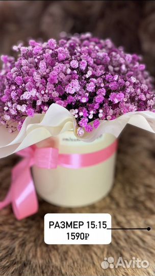 Букет из гипсофилы в коробке