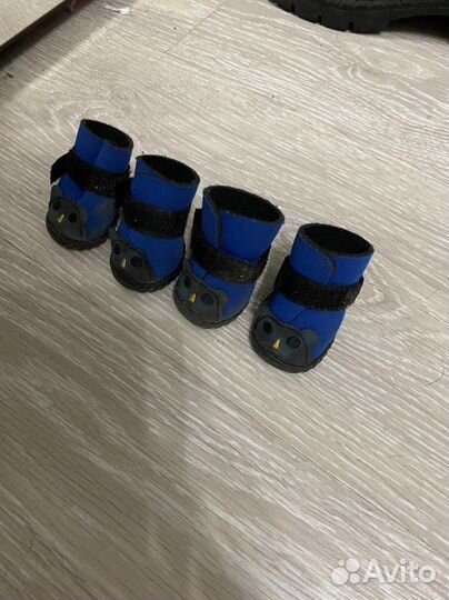 Одежда для маленьких собак