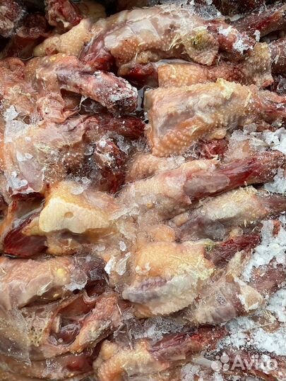 Куриные шеи/мясо для собак