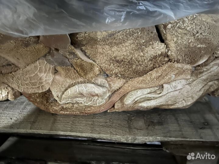 Рубец говяжий очищенный