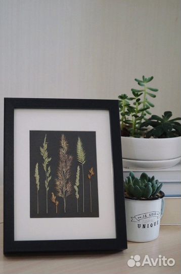 Картины из гербария; сухоцветы