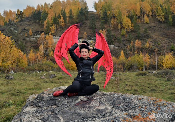 Крылья «Горгульи»