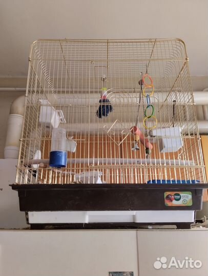 Клетка для попугая корелла