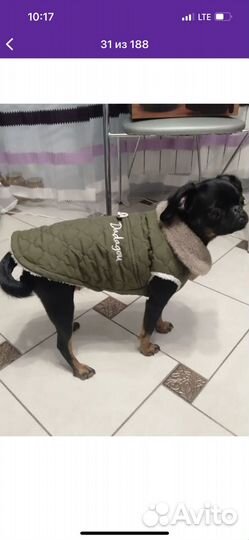 Комбенизон для собак