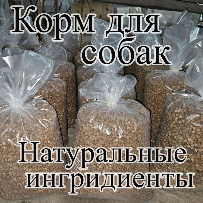 Корм для собак