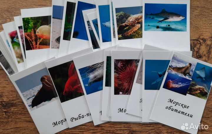 Карточки морские обитатели