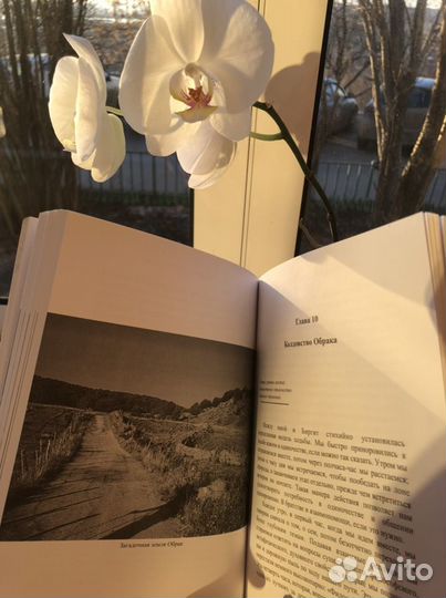 Такая приятная дорога в Компостель