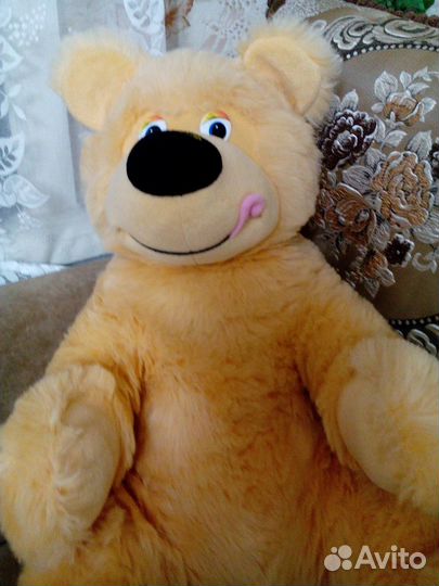 Медведи,собака