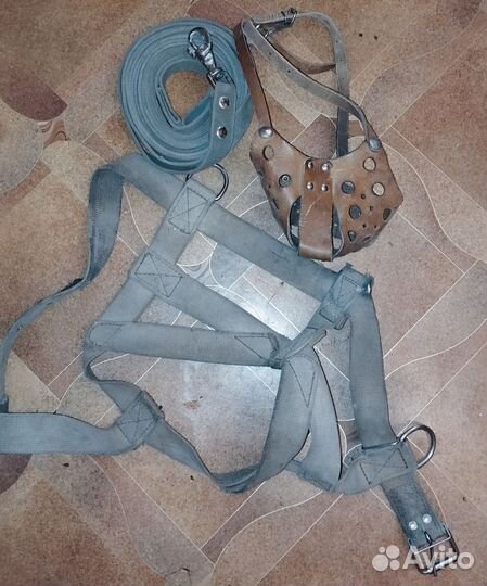 Шлейка, поводок и намордник