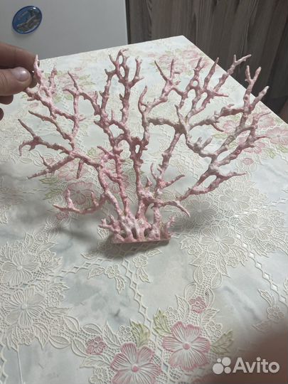 Кораллы