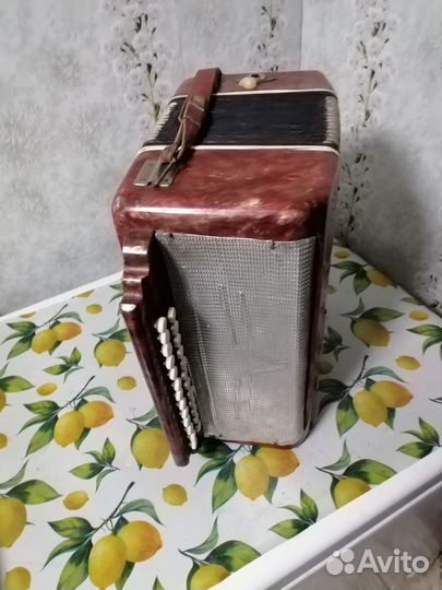 Гармонь беларусь