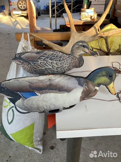 Чучела уток для охоты