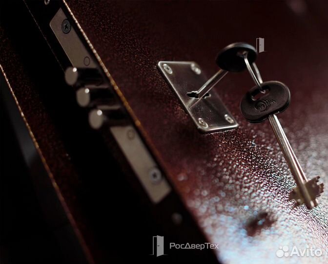 Дверь входная металлическая в квартиру